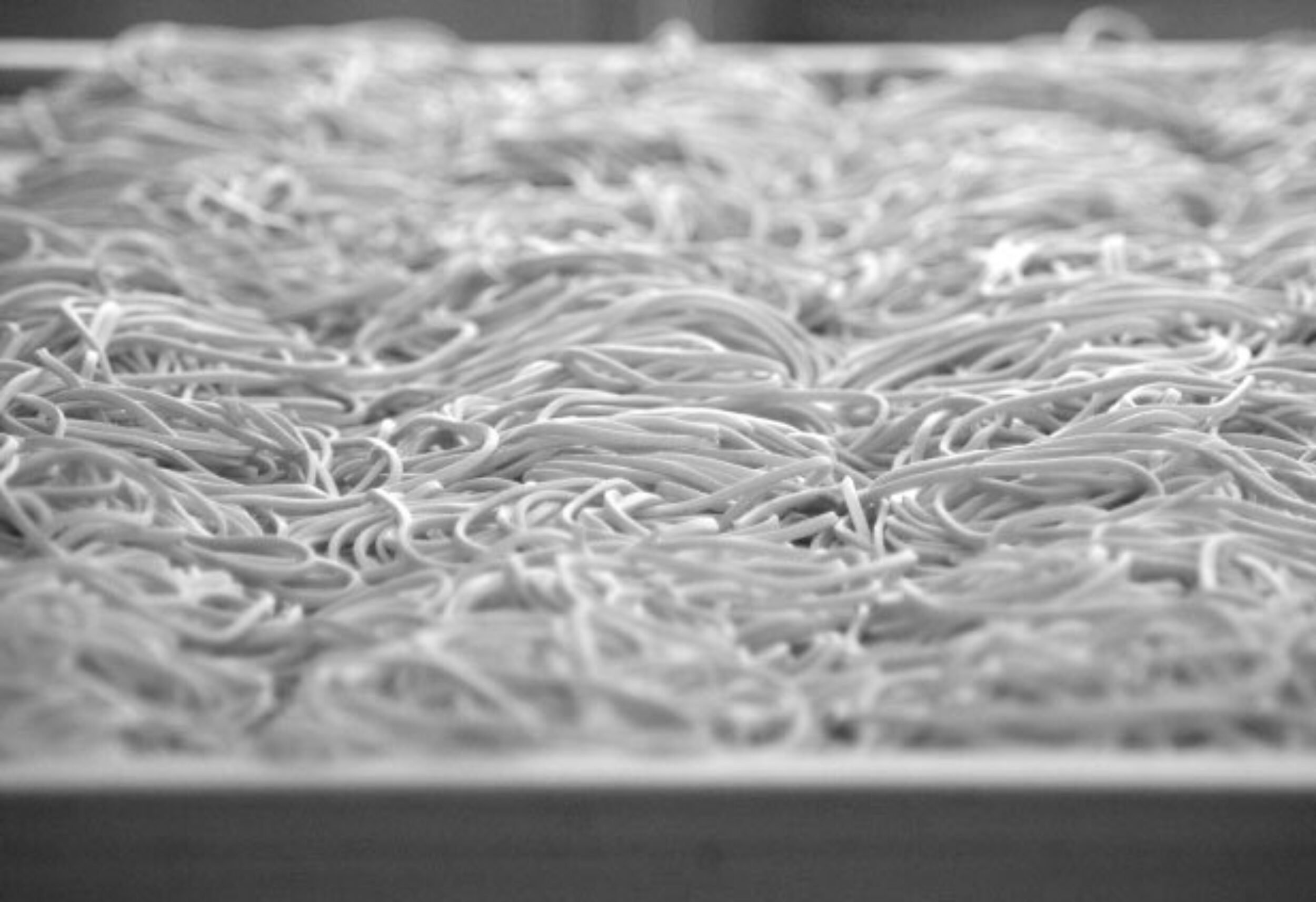 Pasta with principles slide 2