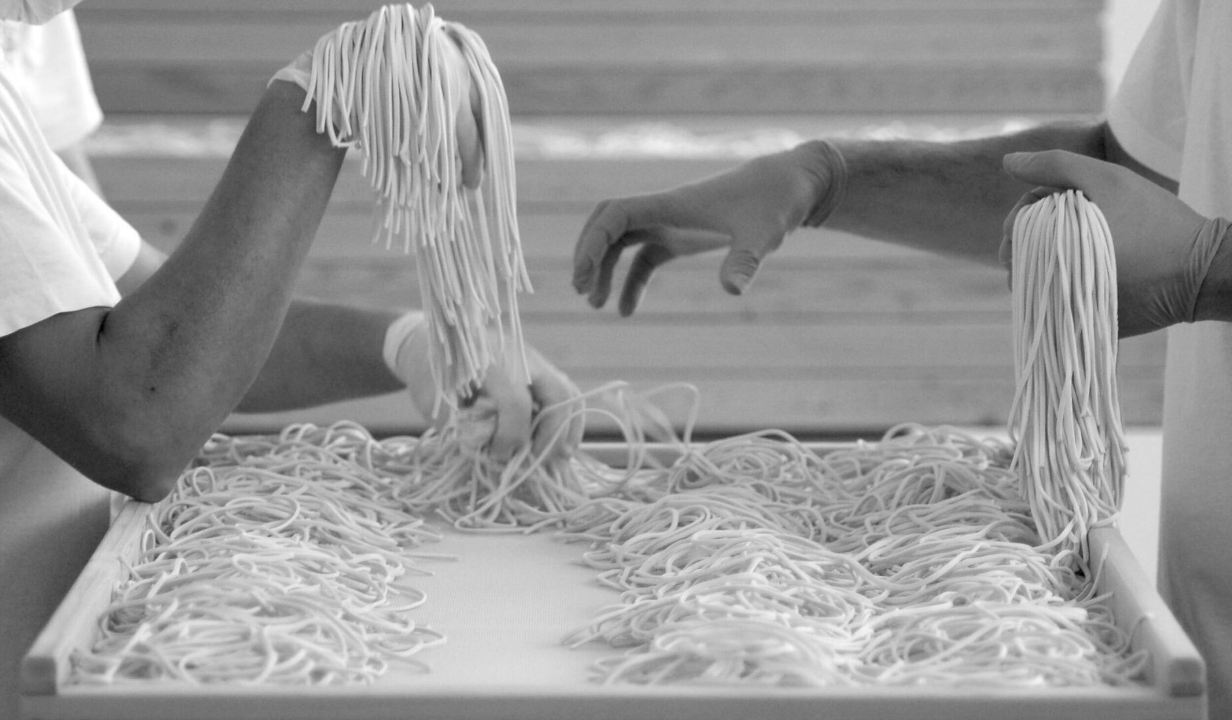 Spaghetti story photo